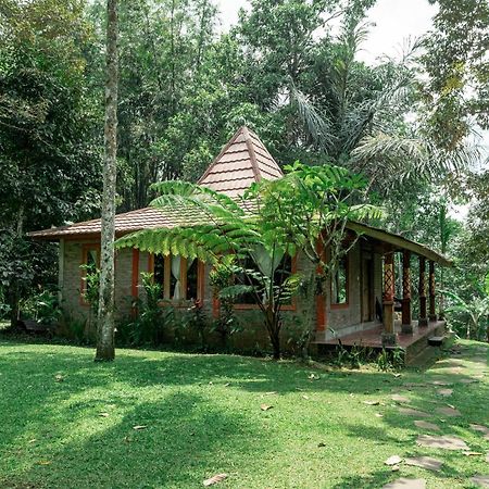 Saridevi Ecolodge Jatiluwih Esterno foto