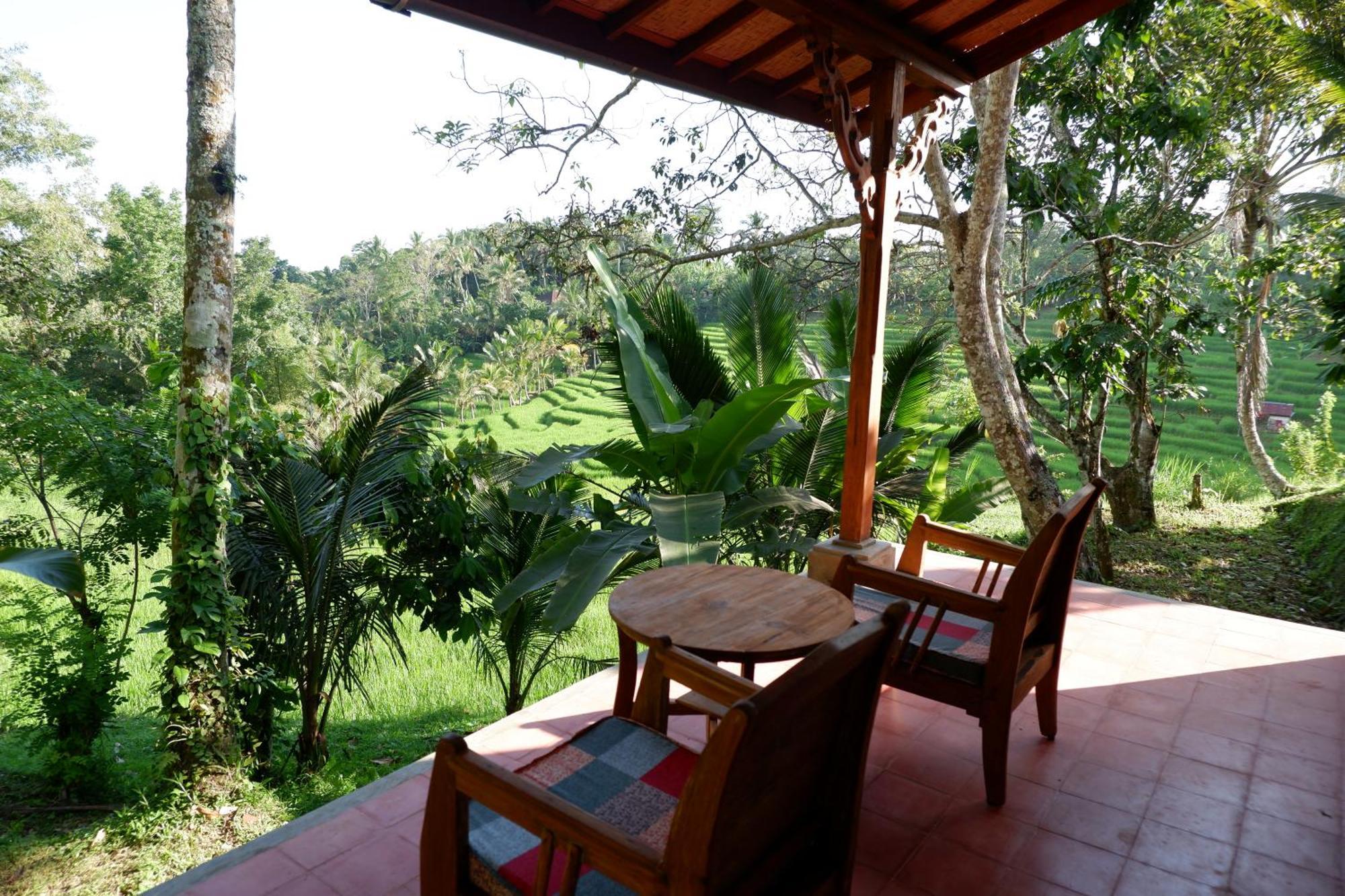 Saridevi Ecolodge Jatiluwih Esterno foto