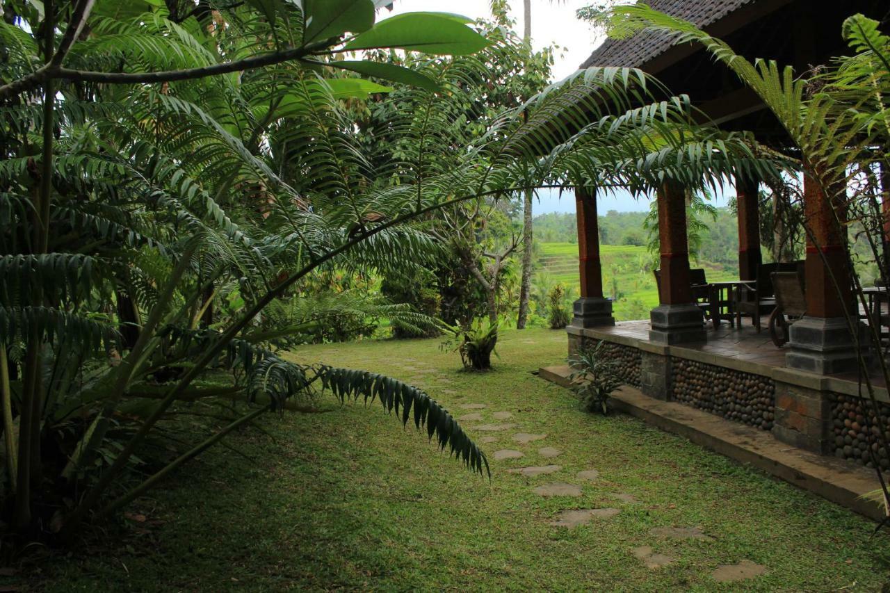 Saridevi Ecolodge Jatiluwih Esterno foto